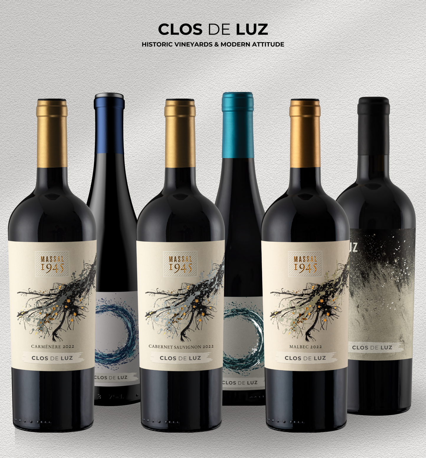 Descubre Clos de Luz Premium Caja 6x750ml Viña Clos de Luz