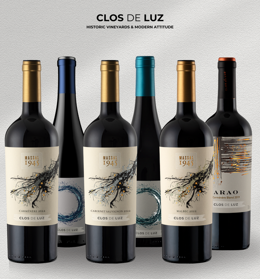Descubre Clos De Luz  Caja 6x750ml Viña Clos de Luz