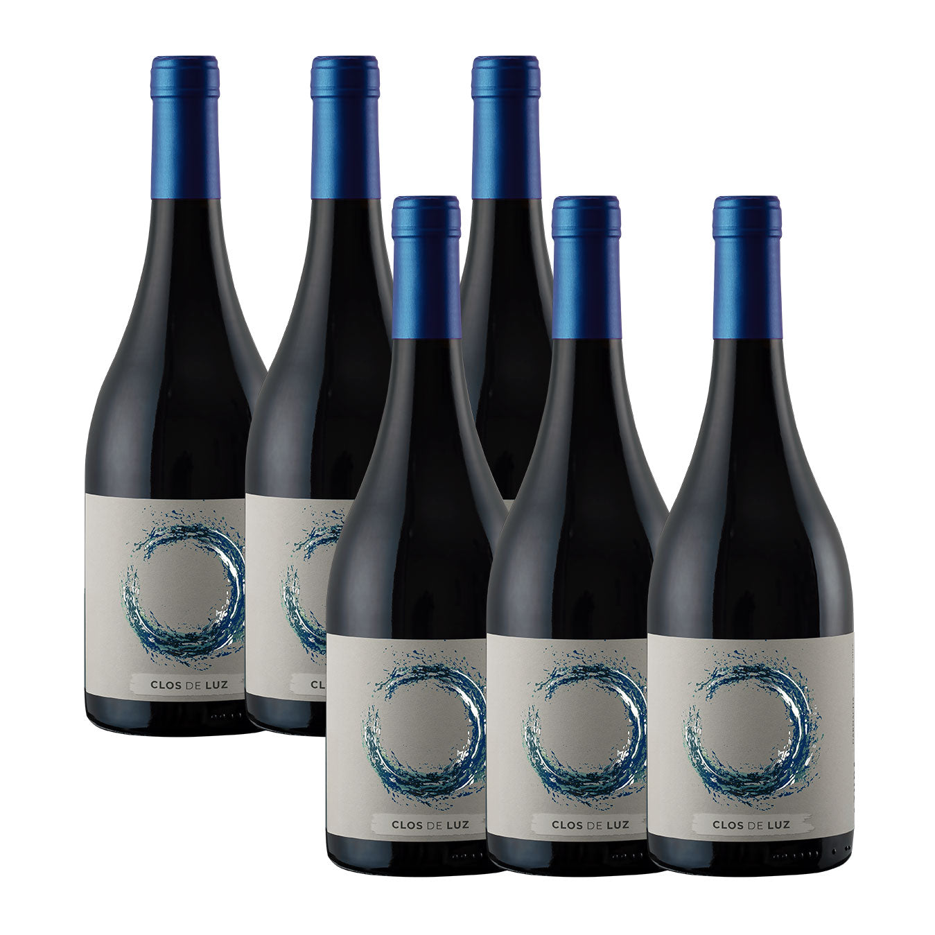 Vino Azuda Syrah Caja 6x750ml Viña Clos de Luz