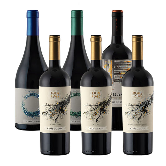Descubre Clos De Luz  Caja 6x750ml Viña Clos de Luz