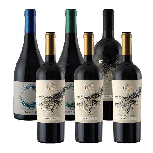 Descubre Clos de Luz Premium Caja 6x750ml Viña Clos de Luz